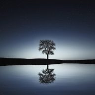 插下面视频 作者沈知白的头像示意图，浅色背景下的半身剪影，用于页面署名展示